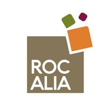 rocalia, spécialiste de la pierre naturelle, rocaille, paysagiste lyon 69 rhône